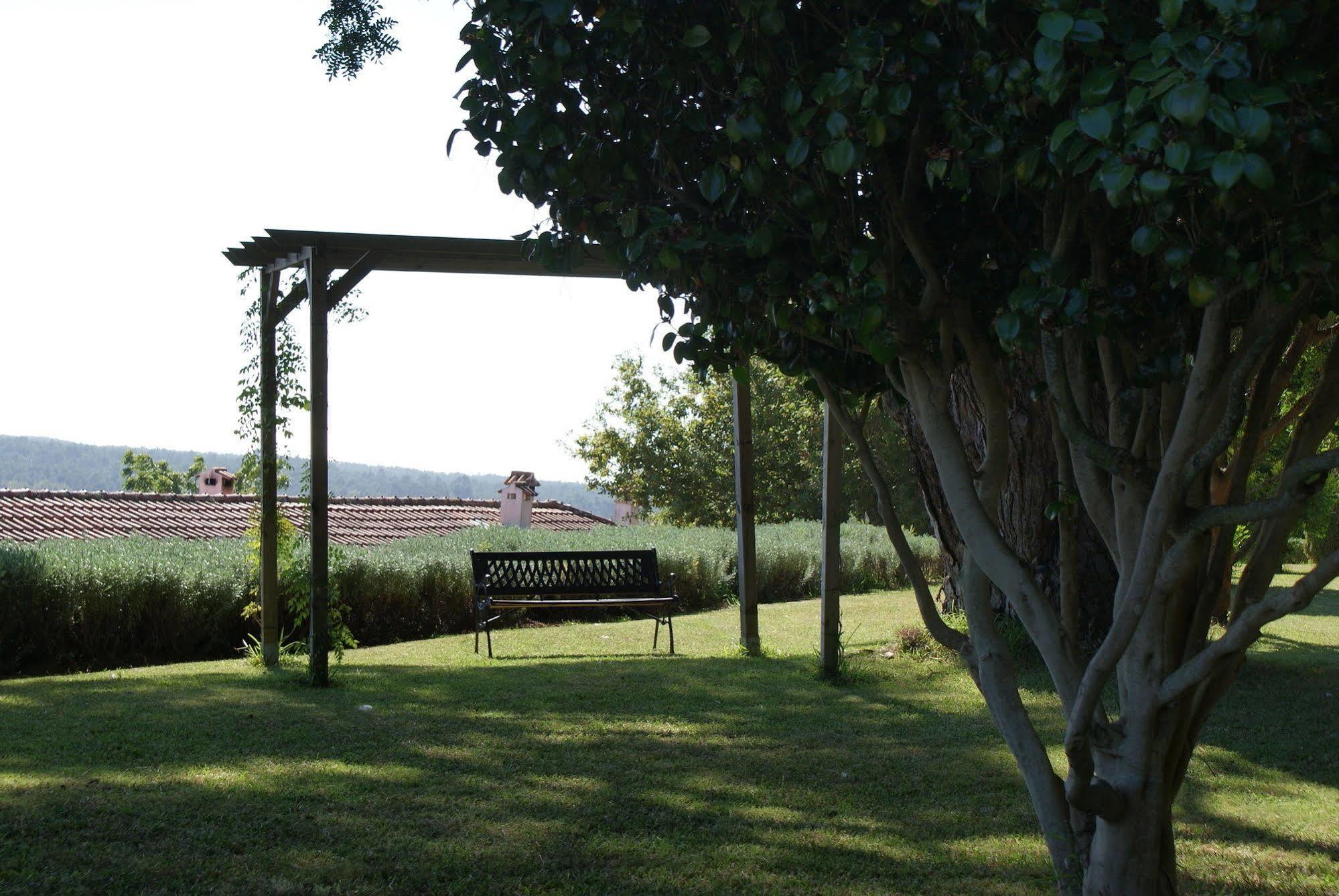 Affittacamere Quinta Do Paco D'Anha Viana do Castelo Esterno foto